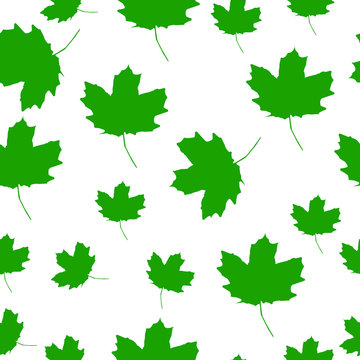 Autumn Set of green Maple Leaves on White Background, Vector Version