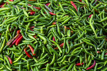 Chili peppers , Chili tree , Chili plant