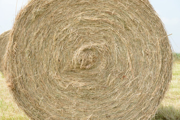 Heuballen auf dem Feld, Heuernte