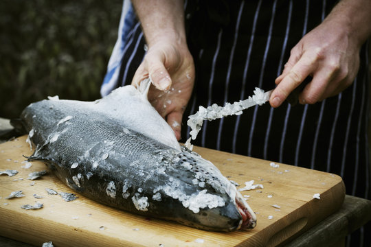 Close up of a chef scaling a fresh fish.