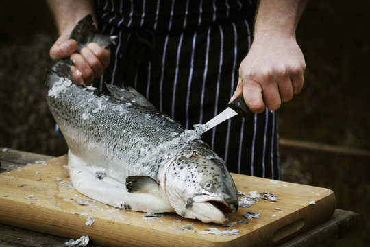 Close-up of a chef scaling a fresh fish