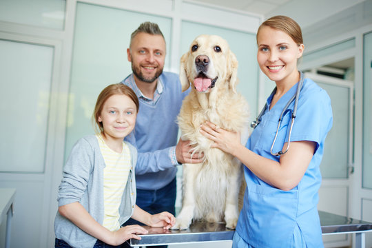 Visiting vet clinics