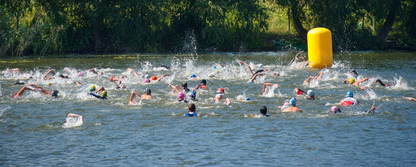 group people in wetsuit swimming at triathlon - obrazy, fototapety, plakaty