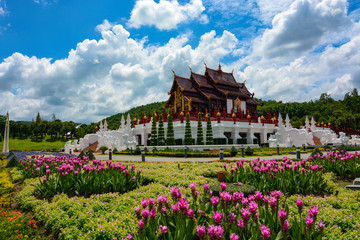 Beautiful flower gardens at Royal Park Rajapruek in Chiang Mai, Thailand