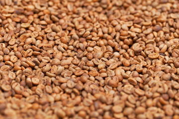 Raw coffee beans close up