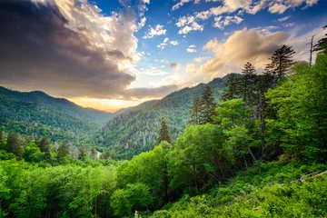 Deurstickers Nieuwe kloof in de Smoky Mountains © SeanPavonePhoto