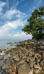 Fototapeta na wymiar Coast of the tropical sea. Vertical landscape. Thailand, Phuket
