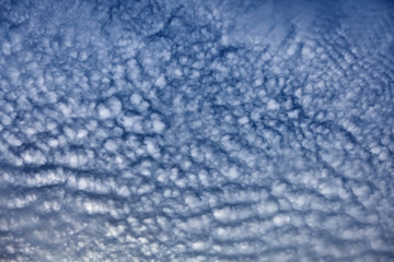 Altocumulus middle-altitude cloud in stratocumuliform - nature b