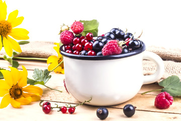 full circle different ripe useful berries with yellow flowers