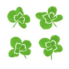 Leaf clovers  symbol of good luck St. Patrick's day vector illustration