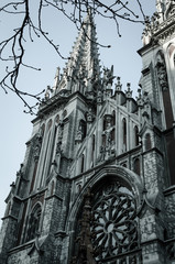 Gothic architecture of gray tone