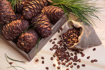 Cedar tree cones and seeds.