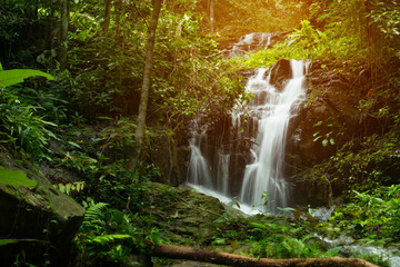Tranquil flowing waterfall in a lush rainforest