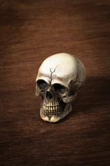 Skull on wooden background, still life