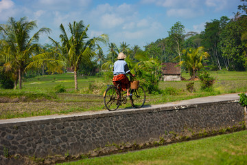 Old Balinese woman cycling past rice fields on her bike