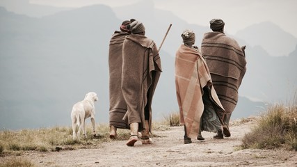 Lesotho Drakensberge Schäfer - obrazy, fototapety, plakaty