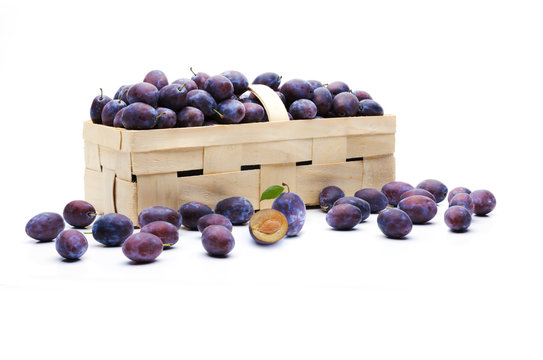 Zwetschgen im Korb