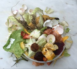 Biomüll in einer kleinen Plastikschüssel