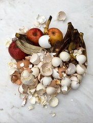 Biomüll mit Äpfeln, Bananen- und Eierschalen 