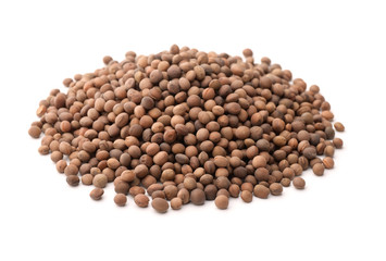 Pile of vetch seeds
