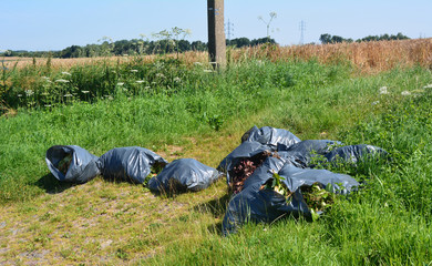 Dépôt sauvage de sacs-poubelles dans la campagne de Braine-le-Comte, Belgique