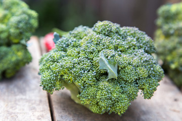 fresh broccoli is on the gray wooden surface © verbapho