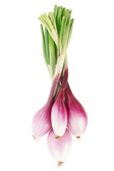 Fresh red onions bunch, Tropea type on white, clipping path