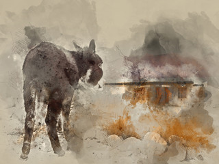 Donkey watercolor painting