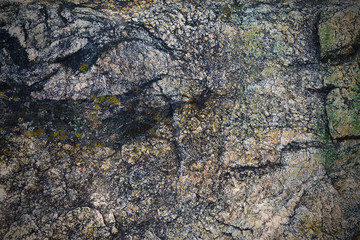 texture of granite stone covered with moss closeup