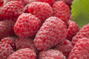 Juicy raspberry close up. Background of summer berries.	