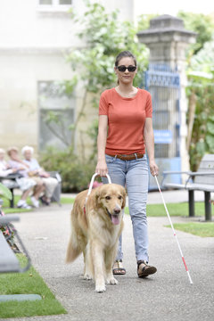 Blind woman walking in park with dog assitance
