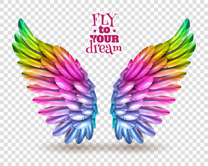 Color Wing Transparent Set © Macrovector