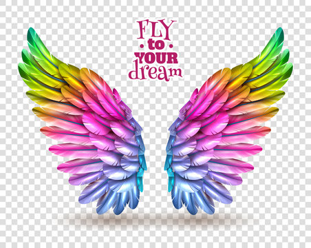 Colorful Angel Wings Images – Browse 13,739 Stock Photos, Vectors, and  Video | Adobe Stock