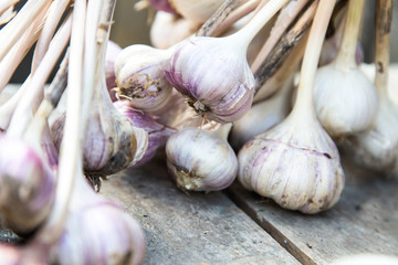  bunches of garlic are on the grey surface