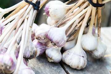  bunches of garlic are on the grey surface