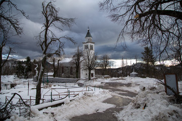 Ice coated trees damaged from an catastrophic ice in the winter, Ljubljana, Slovenia.