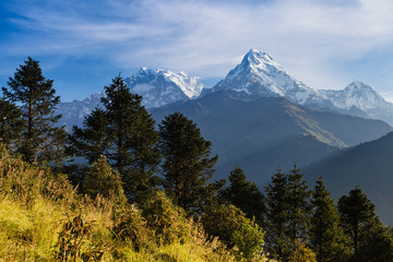 Obraz premium The alpine landscape from poon hill, Nepal