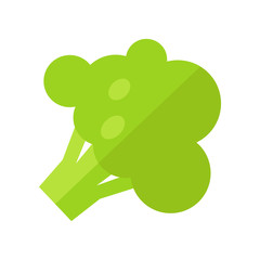 Broccoli Vector Illustration in Flat Style Design.  