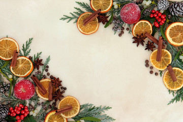 Christmas Spice Fruit and Floral Border