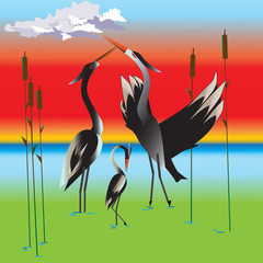 Vector illustration of stork family - 116723419