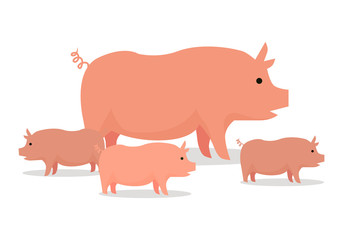 Pigs Flat Design Vector Illustration. On White.