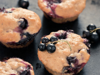 Muffins with black currant close up