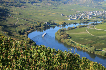 Ein Schiff auf der Mosel