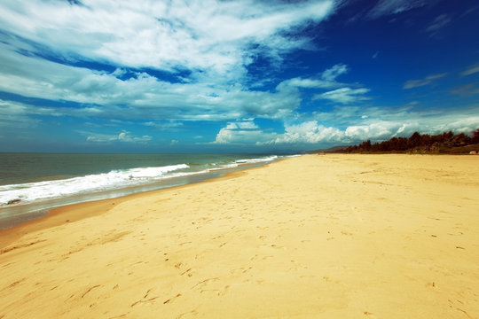 Beautiful Tropical landscape