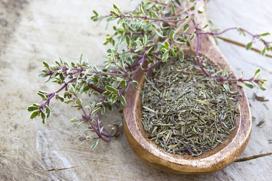 thyme on wooden background