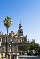 Fototapeta na wymiar Seville Cathedral with the Giralda Tower in Seville called, Spai