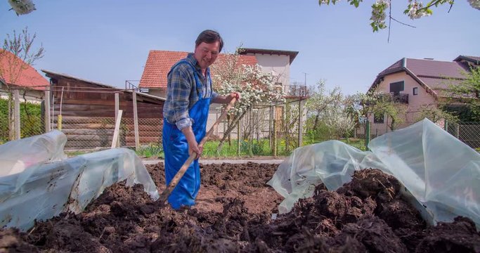 A senior man is using a garden fork and he is unloading a well-rotted manure off a trailor. He is helping a young family to make their very fast garden. Close-up shot.
