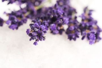 lavender flower