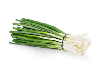 Obraz na płótnie Canvas Green onion close-up isolated on a white background. Food concept.