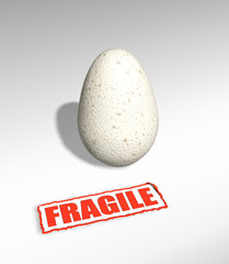 Fragile egg